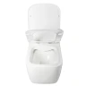 Комплект унитаза WellWant Tesoro WWU01111W с инсталляцией WellWant Standart 50 WWISI1110B с сиденьем Микролифт и клавишей смыва Хром глянцевый