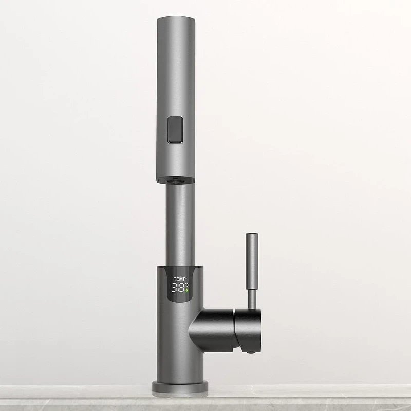 Смеситель для раковины Black&White Sky Day SD3028GM 3028GM Gun Metal