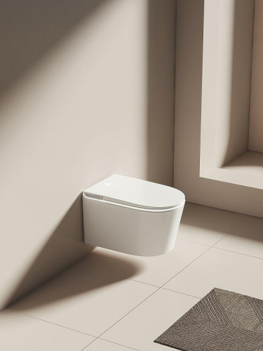 Унитаз биде Allen Brau Smart 4.I1001.20 подвесной цвет Белый с сиденьем Микролифт