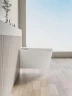 Унитаз биде Allen Brau Smart 4.I1001.20 подвесной цвет Белый с сиденьем Микролифт