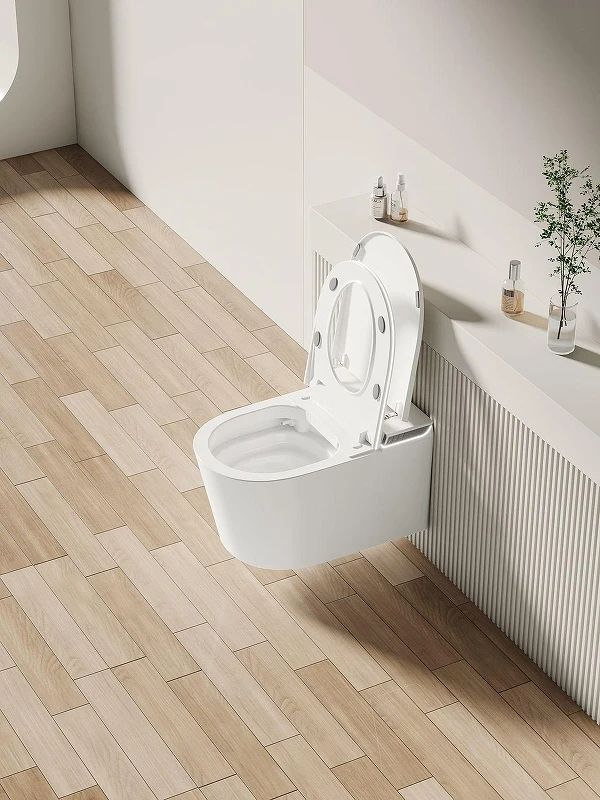 Унитаз биде Allen Brau Smart 4.I1001.20 подвесной цвет Белый с сиденьем Микролифт