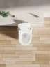Унитаз биде Allen Brau Smart 4.I1001.20 подвесной цвет Белый с сиденьем Микролифт
