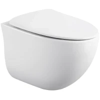 Унитаз Black&White Universe W-751 751w00 подвесной с сиденьем Микролифт фарфор подвесной