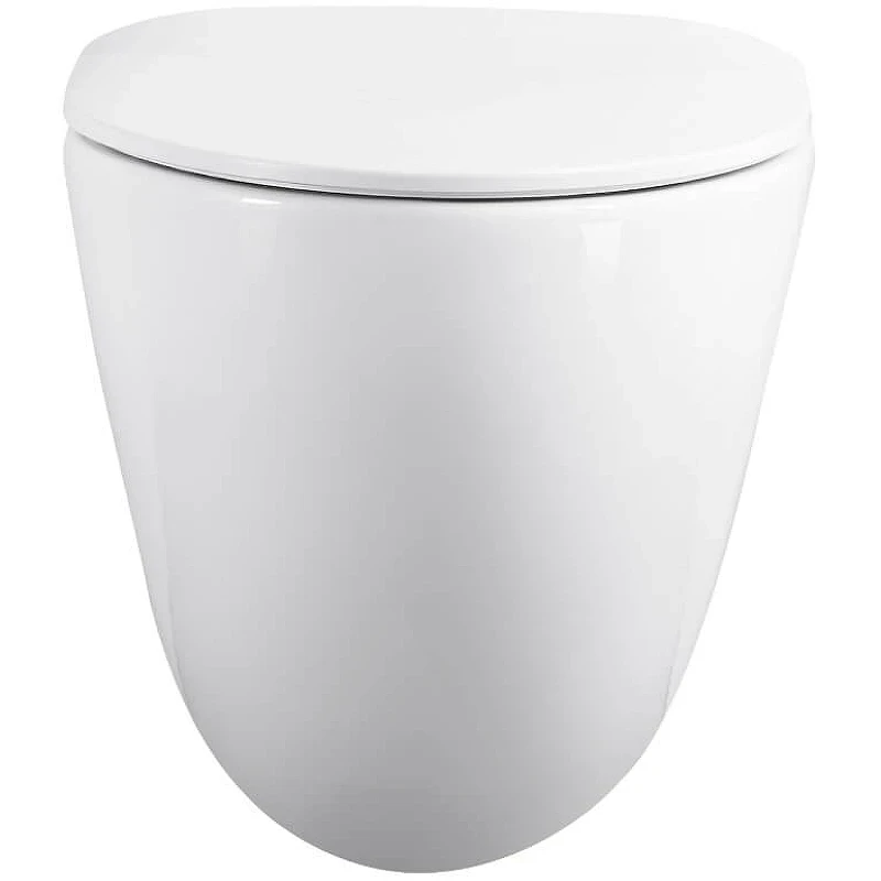 Унитаз Black&White Universe W-751 751w00 подвесной с сиденьем Микролифт фарфор подвесной