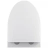 Унитаз Black&White Universe W-751 751w00 подвесной с сиденьем Микролифт фарфор подвесной