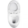 Унитаз Black&White Universe W-751 751w00 подвесной с сиденьем Микролифт фарфор подвесной