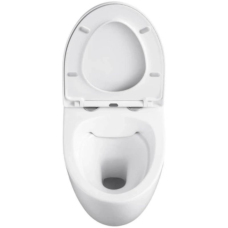 Унитаз Black&White Universe W-751 751w00 подвесной с сиденьем Микролифт фарфор подвесной