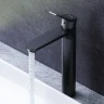 Смеситель для раковины AM.PM X-Joy F85A92022 Черный матовый латунь