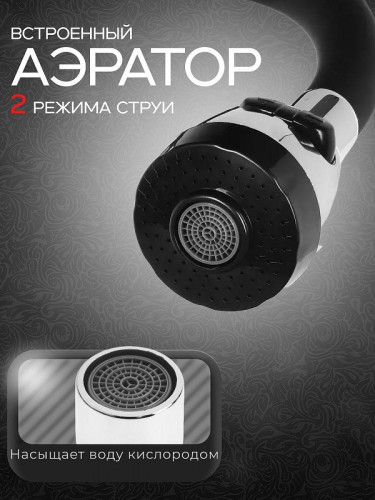 Смеситель для кухни Wisent WP53028F цвет Черный матовый