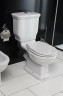Унитаз-компакт BelBagno Boheme BB115CPR без бачка и сиденья