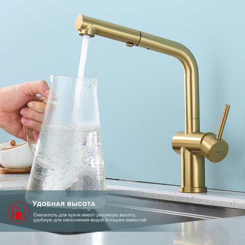 Смеситель для кухни Raglo R86.49.03 Золото матовое латунь