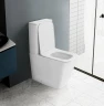 Унитаз компакт Abber Rechteck AC1210TMW Белый матовый с бачком и сиденьем Микролифт фаянс напольный