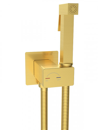 Гигиенический душ со смесителем WeltWasser Higi Q01 MGL 10000013670 цвет Золото матовое