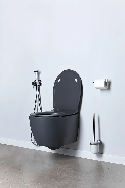 Унитаз Allen Brau Fantasy 4.11004.AN подвесной Антрацит без сиденья фаянс подвесной
