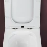 Комплект унитаза с инсталляцией Ceramicanova Metric CN3007_1001B_1000 с сиденьем Микролифт и Черной матовой клавишей смыва фарфор подвесной