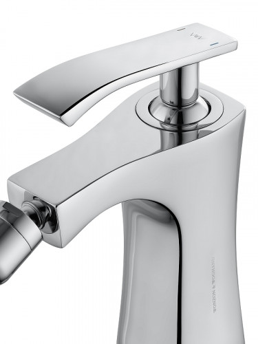 Смеситель для биде Wonzon &amp; Woghand Triumph WW-565001-CR цвет Хром