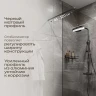 Душевая перегородка DIWO Орел 120 DS-OR-120-BL профиль Черный матовый стекло прозрачное