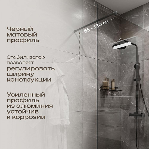 Душевая перегородка DIWO Орел 120 DS-OR-120-BL профиль Черный матовый стекло прозрачное