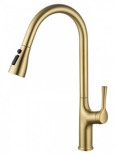 Смеситель для кухни Wonzon & Woghand WW-AE54123-BG цвет Брашированное золото