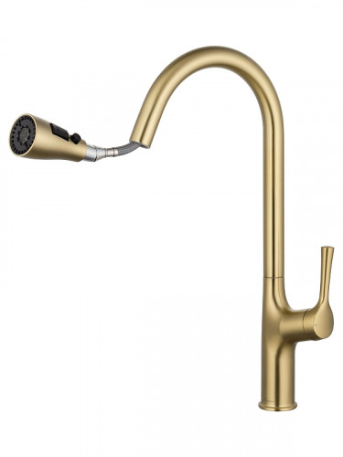 Смеситель для кухни Wonzon & Woghand WW-AE54123-BG цвет Брашированное золото