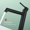 Смеситель для раковины Raglo R20.15.06 Черный матовый латунь