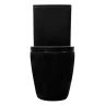 Унитаз компакт Azario Cobalt-Black AZ-6089A-MB цвет Черный матовый с бачком и сиденьем Микролифт