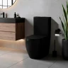 Унитаз компакт Azario Cobalt-Black AZ-6089A-MB цвет Черный матовый с бачком и сиденьем Микролифт