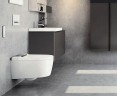 Унитаз-биде Geberit AquaClean Sela 146.224.11.1 подвесной с сиденьем Микролифт фарфор подвесной