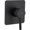 Смеситель для душа Allen Brau Priority 5.31012-31 Черный матовый латунь встраиваемый