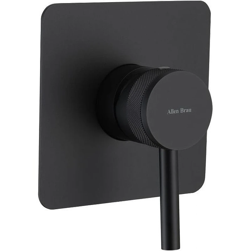 Смеситель для душа Allen Brau Priority 5.31012-31 Черный матовый латунь встраиваемый