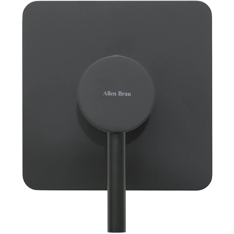 Смеситель для душа Allen Brau Priority 5.31012-31 Черный матовый латунь встраиваемый