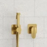 Гигиенический душ со смесителем WasserKRAFT Havel A3651.285.237.213 Золото матовое латунь встраиваемый