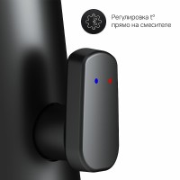 Смеситель для раковины AM.PM Inspire V2.0 F50A02322 Черный матовый латунь