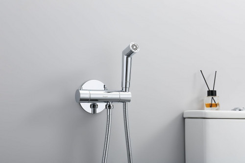 Гигиенический душ со смесителем Raglo R23.56 с термостатом Хром латунь встраиваемый