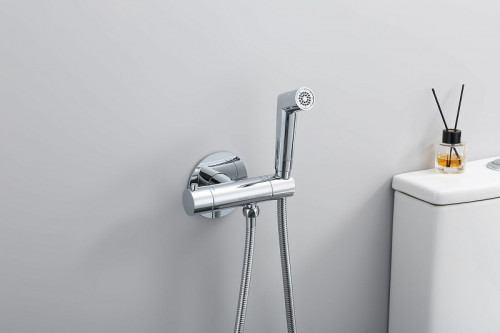 Гигиенический душ со смесителем Raglo R23.56 с термостатом Хром латунь встраиваемый