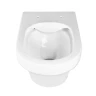 Унитаз Charus Torre Bianca EWC700-124W Franz D Rimless подвесной цвет Белый с сиденьем Микролифт