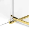 Душевая дверь New Trendy AVEXA Gold x120 EXK-1639