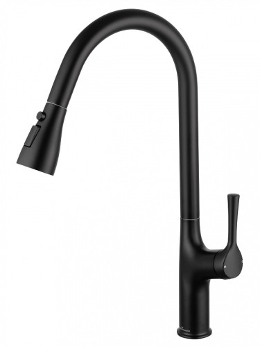 Смеситель для кухни Wonzon &amp; Woghand WW-AE54123-MB цвет Черный матовый