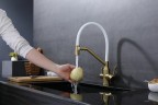 Смеситель для кухни Raglo R81.62.03 Золото матовое Белый латунь