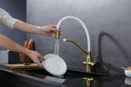 Смеситель для кухни Raglo R81.62.03 Золото матовое Белый латунь