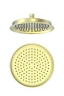 Верхний душ Wonzon & Woghand WW-88DP05-BG цвет Брашированное золото
