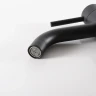 Смеситель для раковины Gid Inga SS096BMK цвет Черный матовый