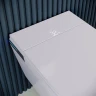 Комплект унитаза биде с инсталляцией RGW SW-70 63420270-01 с сиденьем Микролифт и клавишей смыва Хром фаянс подвесной
