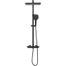 Душевая система Allen Brau Infinity 5.21030-31 Черная матовая латунь на стену