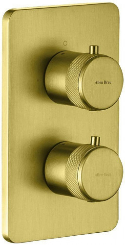 Смеситель для душа Allen Brau Priority 5.31314-GB с термостатом цвет Золото брашированное