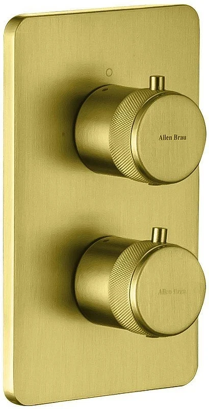 Смеситель для душа Allen Brau Priority 5.31314-GB с термостатом цвет Золото брашированное
