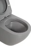 Унитаз BelBagno Colorato BB062CHR-GR/BB062SC-GR подвесной Серый матовый с сиденьем Микролифт фаянс подвесной