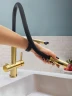 Смеситель для кухни AltroBagno Flusso 050202 BG цвет Золото матовое