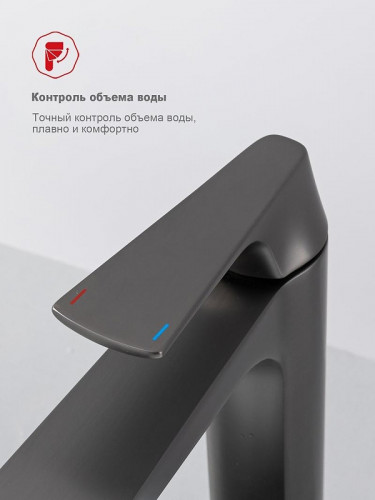 Смеситель для раковины Raglo R07.15.09 цвет Графит