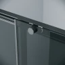 Душевой уголок Grossman Style 100х80 120.K33.05.1080.21.10 профиль Черный матовый стекло тонированное